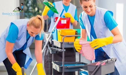 Residential and Commercial Cleaning Services: A Deep Dive into Cleanliness